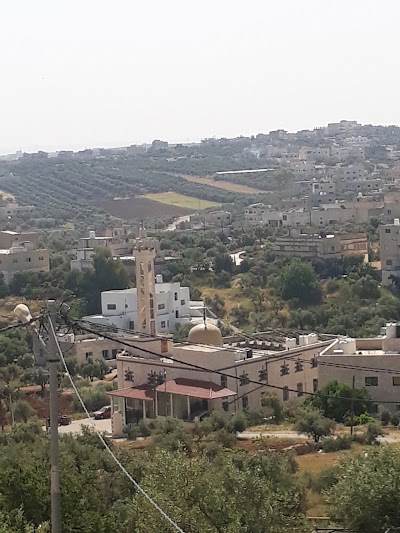 Photos of Al Albayt Mosque