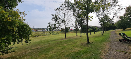 Downs Road Park - Visual