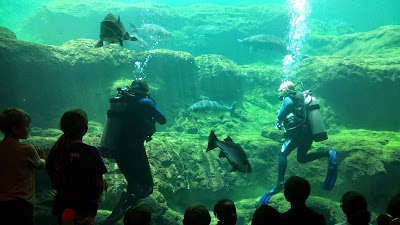 Flint RiverQuarium