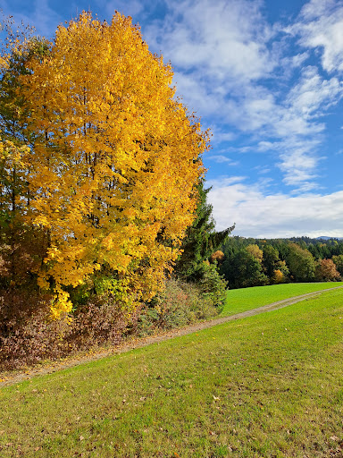 Gemeinde Haselbach - Thumbnail