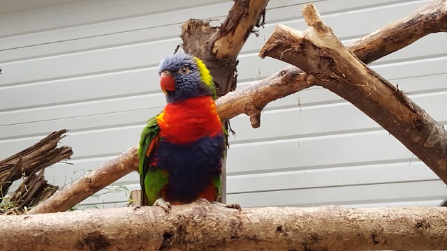 Biotropica, les jardins animaliers