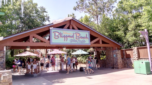 Disney's Blizzard Beach Water Park