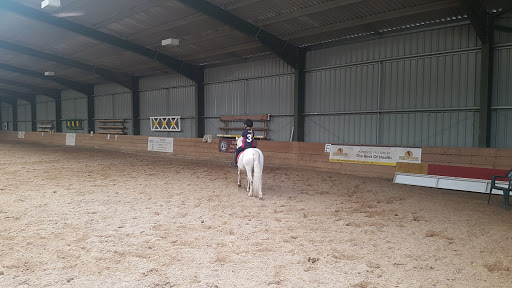 Halefield Stud - Visual