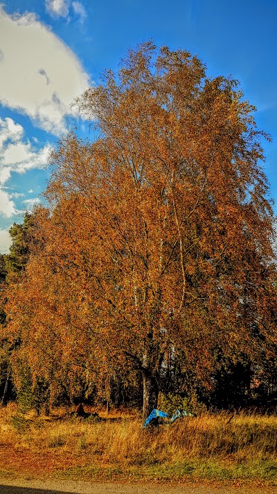 Photos of Kurefjorden nature reserve