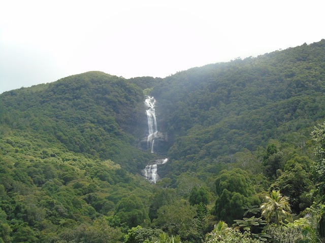Cascade de Tao