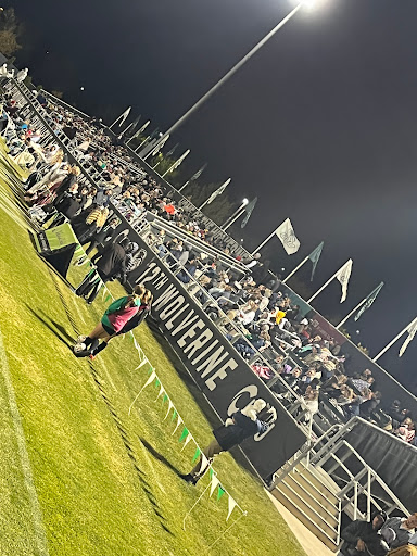 Clyde Field - Visual