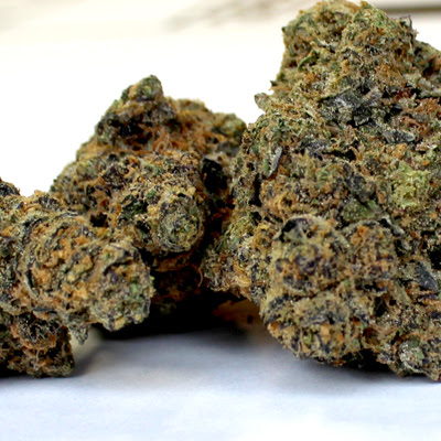 Photo of Tiny Weeds