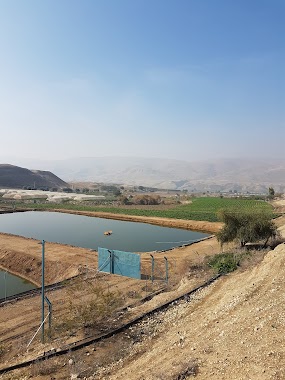 Holy Land Fish Farm, Author: Farhan AL NABER