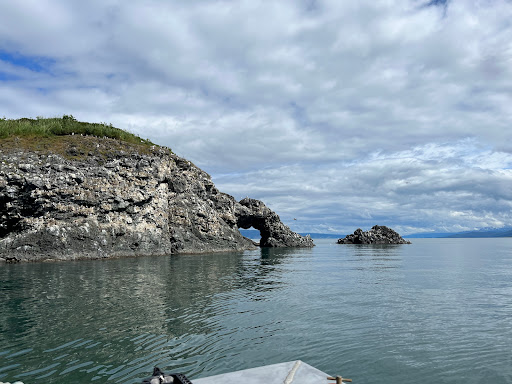 Seabird Ventures - Thumbnail