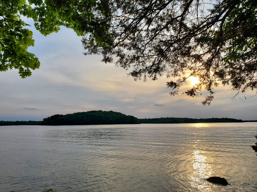 Poole Knobs Portal - Visual