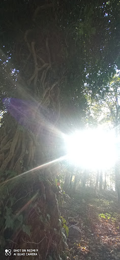 Sentiero natura per Monte Cornacchia - Thumbnail