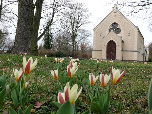 Friedhof Markranstädt