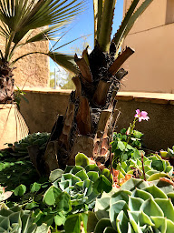 Photo n°32 de La Maison du Prince à Grimaud (Chambre d'hôtes)