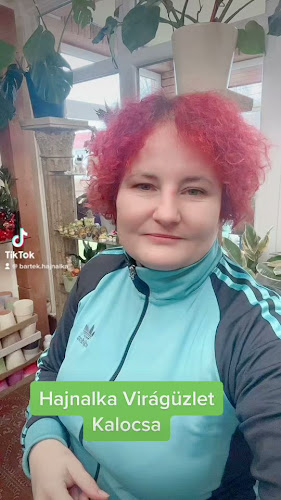Értékelések erről a helyről: Hajnalka Virágüzlet, Kalocsa - Virágárus