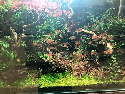 アクアテイラーズ森ノ宮店 Takatsuki Shi ōsaka 81 6 6191 7810