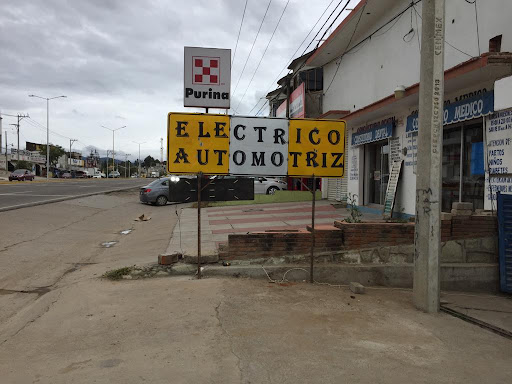 Electrico automotriz " chispitas "