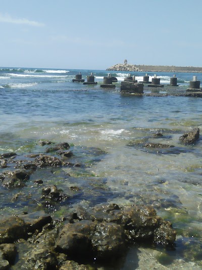 Photos of Restaurant Pecherie Le Dauphin