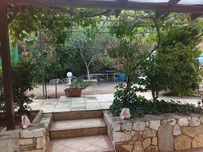 Photos of Cristal Studios
