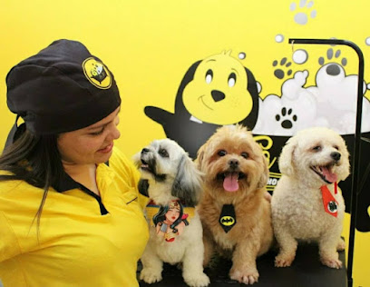 Tia Liu Banho e Tosa