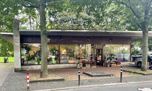 Blumen-Corso - Visual