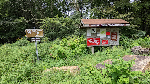 Brumely Mountain Trailhead - Thumbnail