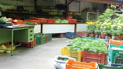 Photos of Organic Farm House