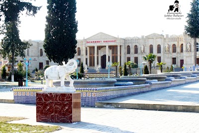 Photos of Xal&ccedil;a Muzeyi