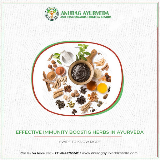 Above are 5 immunity-rich food that you can add in your daily diet routines for healthy body.