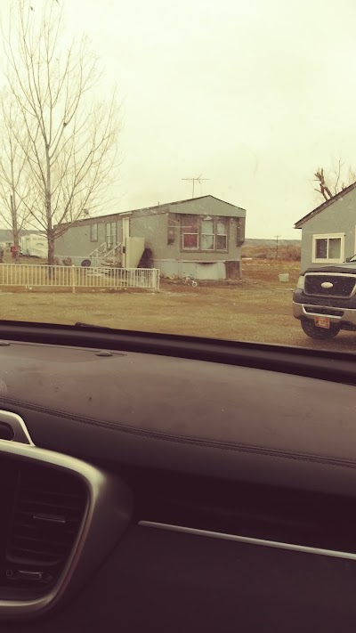 Little Free Library