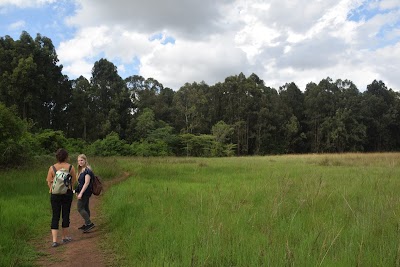 Photos of Karura Forest