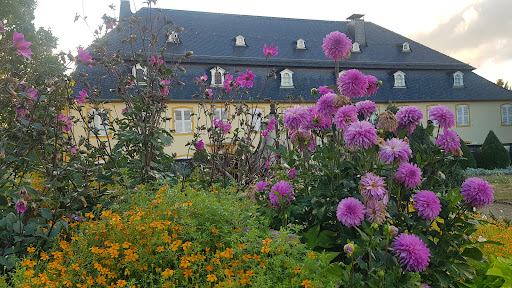 Barockgarten - Visual