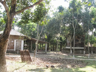Photos of Digdana Puja Mondop