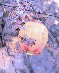 Photo n°59 de Restaurant Nha Trang à Narbonne (Restaurant asiatique)