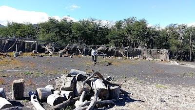 Photos of Camping Painefilu