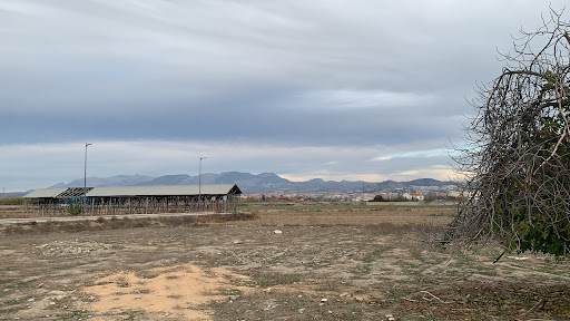 Secaderos de tabaco ( Vegas del Genil ) Granada