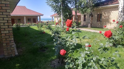 Photos of Solemar