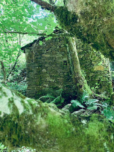 Ponte de Adán - Thumbnail