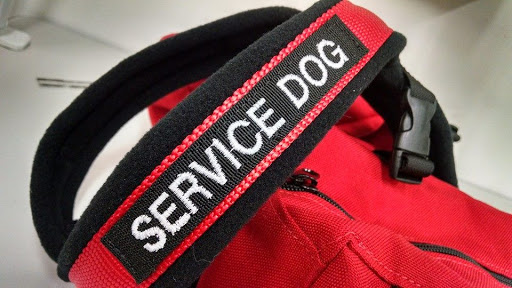 Fidogear - Visual