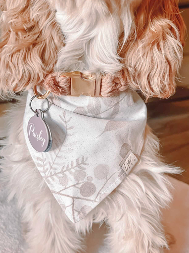 Luxury Pup Co. - Thumbnail
