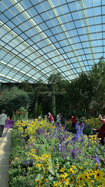 Flower Dome by null