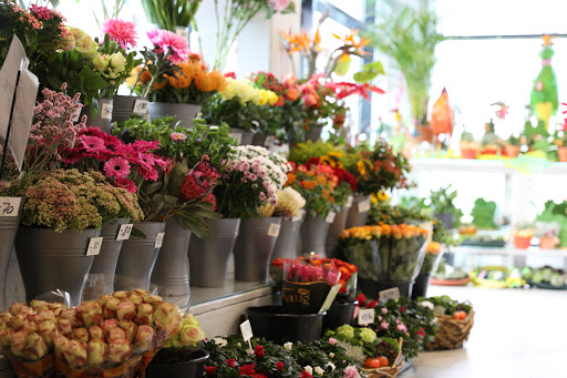 Blumen Schneitler - Thumbnail