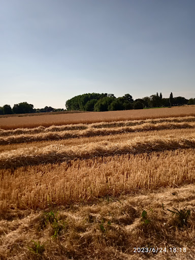 Arcen, Lingsforterweg - Thumbnail