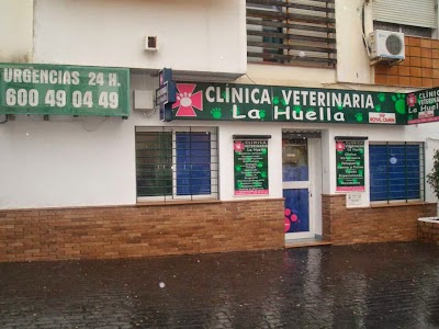 Photos of Veterinary Clinic Sleuth
