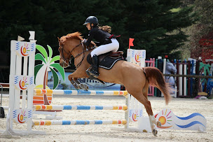 Photo n°22 de Club Hippique de Grasse : Centre Équestre à Grasse à Grasse (Entraîneur de chevaux)