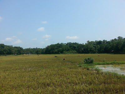 Photos of Riduyana Store