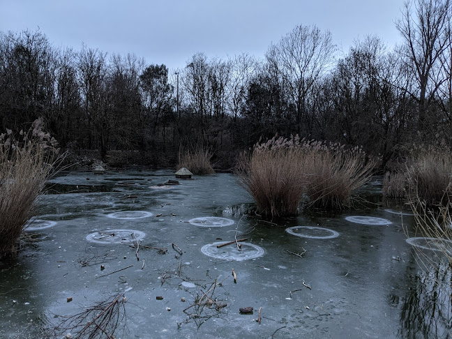 Stave Hill Ecological Park - TCV - London