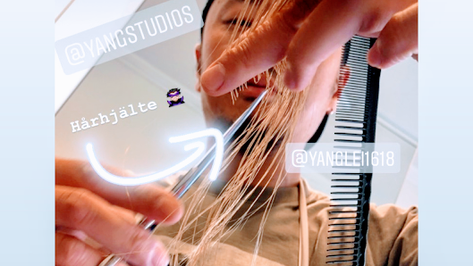 Yang Studios Sverige, Stockholm, Karlbergsvägen, Yang Studios邮政编码: 113 27