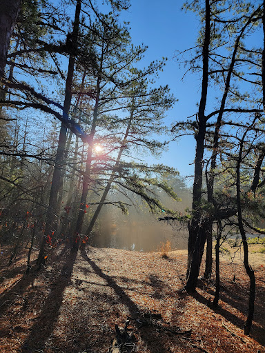 Mullica River Beach Gallery - United States