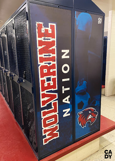 Wolverine Stadium - Visual