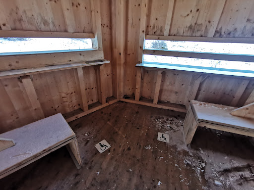 Vogelbeobachtung Münsingen - Thumbnail